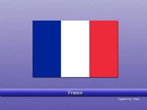 Vastu specialist in France